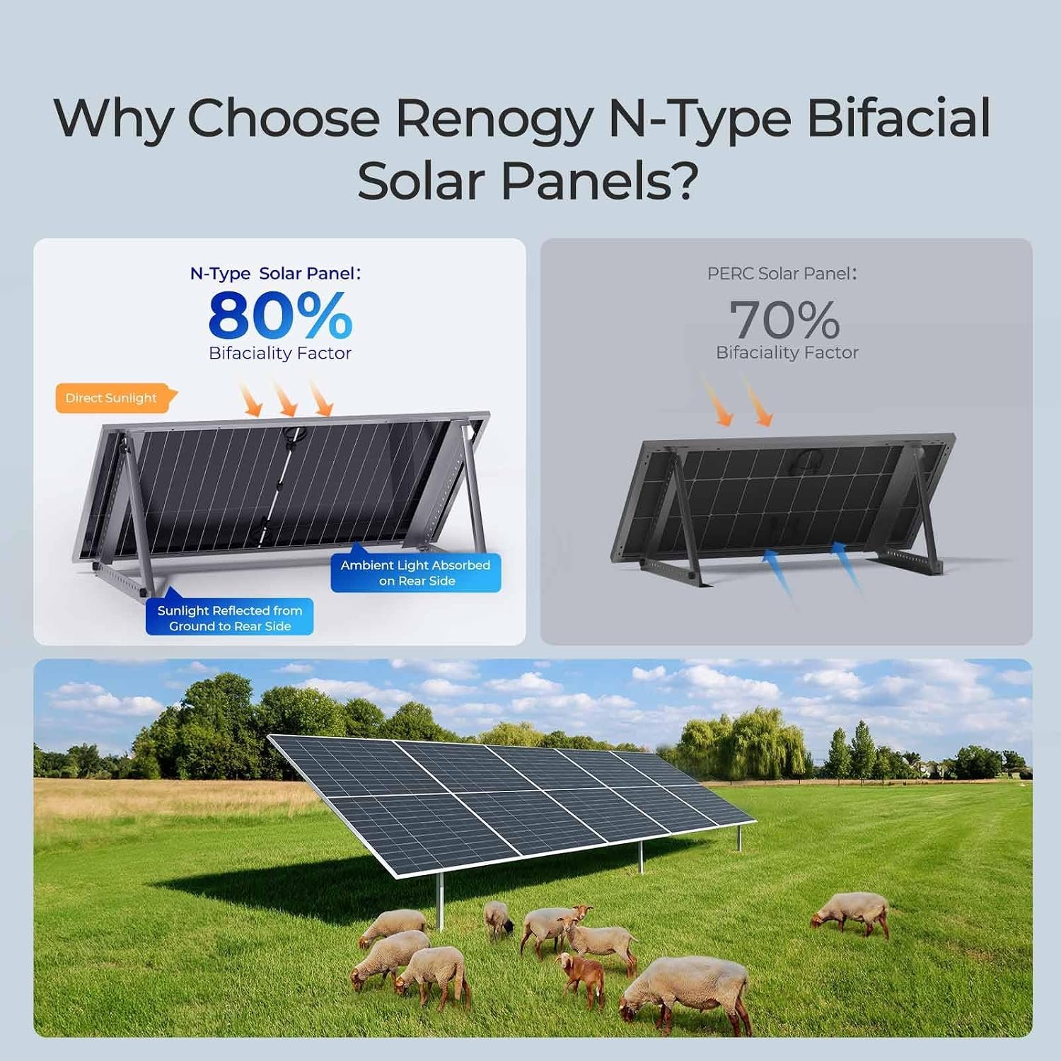 Renogy Bifacial Solar Panel 2360W N-Type 16BB, 25% High Efficiency | Double-Sided Design, 4PCS 590 Watt Solar Panels for RV Marine Rooftop Home Boat Farm Shed Camper Off-Grid Systems, IP68 - Image 3