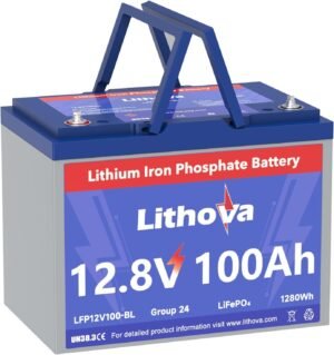 12V 100Ah LiFePO4 Battery, Built in...