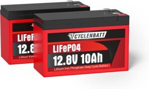 CYCLENBATT 2 Pack 12V 10Ah LiFePO4 ...