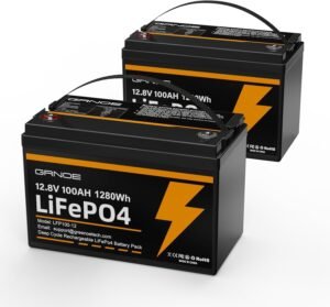 2-Pack 12V 100Ah LiFePO4 Lithium Ba...