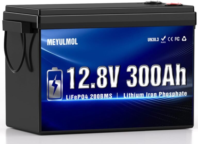 12V 300Ah LiFePO4 Lithium Battery, Upgraded 200A BMS System, Up to 15000+ Cycles Life, 3840Wh Rechargeable Lithium Battery with Low-Temp Protection for RV Solar Marine Solar Panel Camping