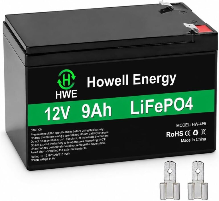 HWE 12V 9Ah Lithium Battery for Ride on Toys, Security System, UPS, EPS | 5000 Deep Cycle Rechargeable 12 Volt 9.0 amp Battery for SLA 1290 6fm9 6fm7, Gate Opener, Fish Finder, 15A BMS,F1 F2 Terminal