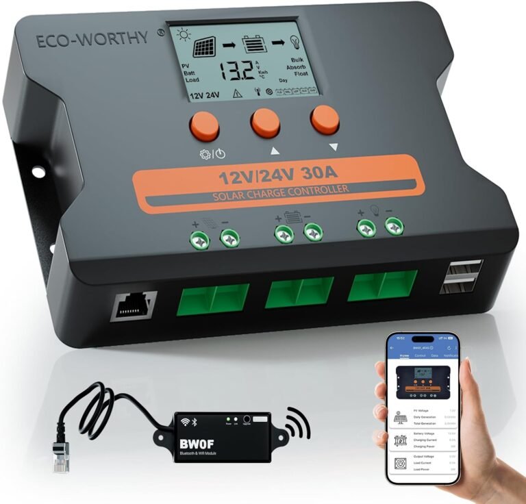 ECO-WORTHY PWM Solar Charge Controller 30A 12/24V with Bluetooth,WiFi | APP Remote Connection, Solar Panel Custom Battery Regulator, Dual USB Port Auto,for FLD/LiFePO4/SLD/GEL RV Solar System