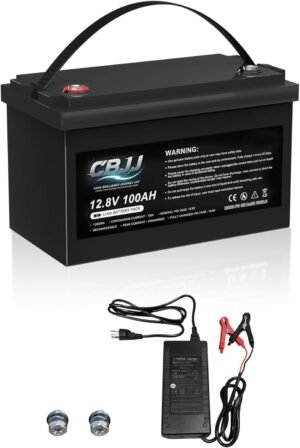 12V 100Ah LiFePO4 Deep Cycle Batter...