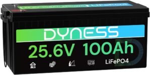 Dyness 24V 100Ah LiFePO4 Lithium Ba...
