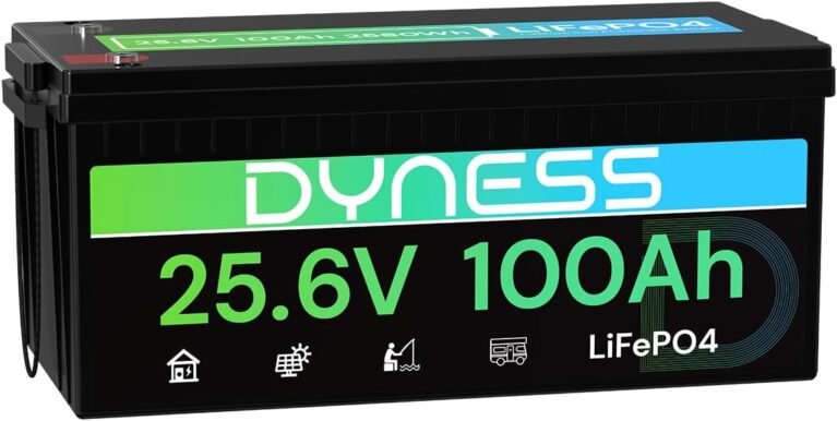 Dyness 24V 100Ah LiFePO4 Lithium Battery, 2560Wh Large Capacity with Smart 100A BMS, 4000+ Deep Cycle, 10-Year Lifetime, Supports 4P2S Connection Up to 20.48kWh, Perfect for RV, Solar System, Marine