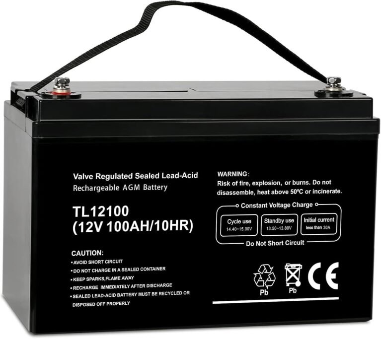 Weize Deep Cycle AGM 12 Volt 100Ah Battery, Maintenance-Free, 3% Self-Discharge Rate, 1150A Max Discharge Current, Perfect for RV, Solar, Trolling Motor, Wind, Marine, Camping and Off-Grid System
