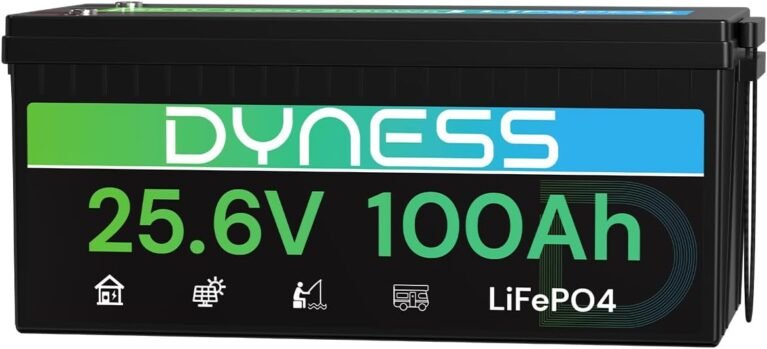 Dyness 24V 100Ah LiFePO4 Battery, 24V Lithium Battery with 2560W Power, Built-in 100A BMS with Low Temp Protection, Supports 4P2S Connection, Up to 20.48kWh, Perfect for RV, Solar System, Marine