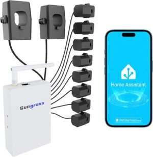 Home Energy Monitor for Home Assist...
