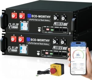 ECO-WORTHY Cubix100 48V 200Ah LiFeP...