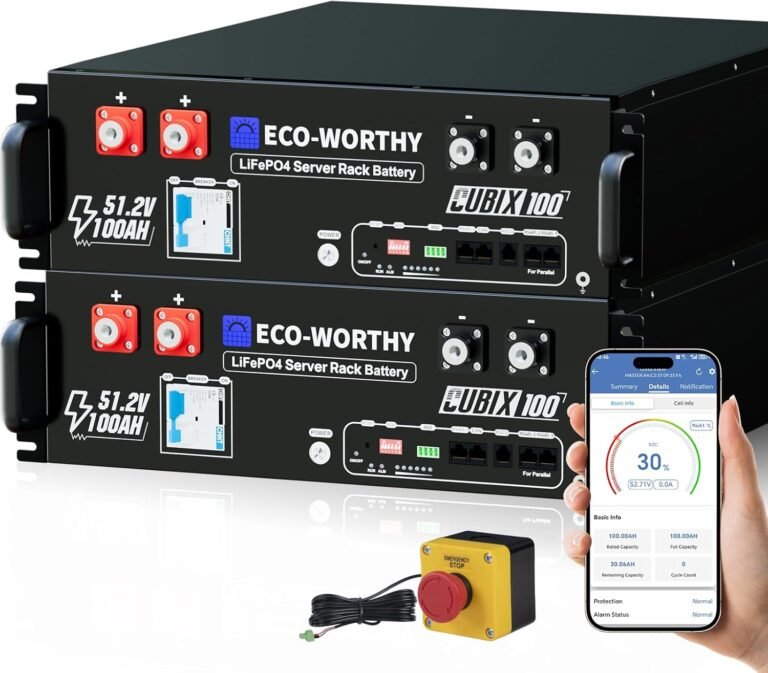 ECO-WORTHY Cubix100 48V 200Ah LiFePO4 Lithium Battery (2 Pack 48V 100AH) w/Bluetooth | UL9540 & UL1973 & CEC Listed | 10.24KWh Server Rack Battery for Solar Energy Storage, Home Backup Power