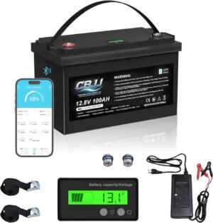 12V 100Ah LiFePO4 Battery Bluetooth...
