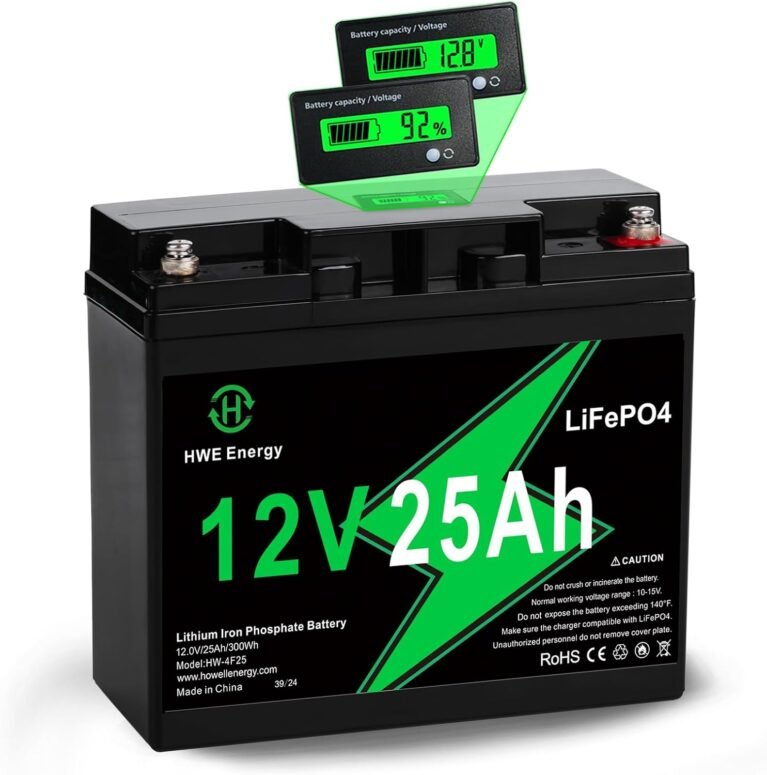 12V 25Ah LiFePO4 Rechargeable Battery for Fish Finder, Ride-on Toys, UPS | Voltage Display, 20A BMS, 5000+ Deep Cycle 12 volt Lithium Battery Replacement for 6FM20, Solar, Alarm System, RVs Backup