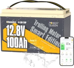 Power Queen 12V 100Ah Bluetooth LiF...