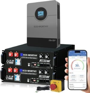 ECO-WORTHY 48V Home Backup Power,10...