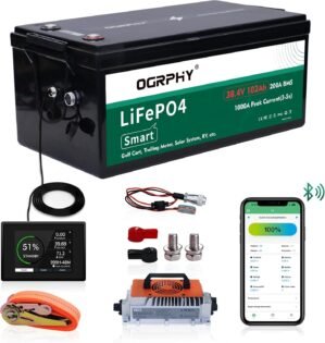 36V Lithium Golf Cart Battery Conve...