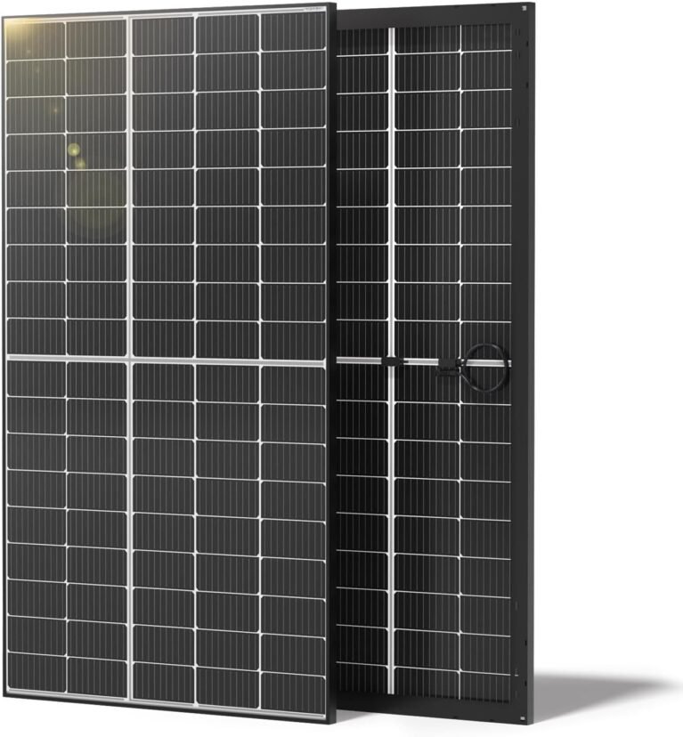 Renogy Bifacial Solar Panel 640 Watt, 25% High-Efficiency for On/Off Grid | 2PCS 320W Solar Panels for Homes Rooftop RV Boat Cabins Camping, Up to 30% More Energy Than Conventional Solar Panels, IP68