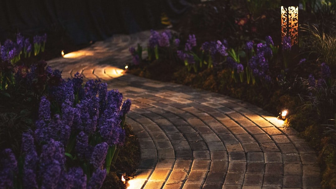 A beautifully illuminated garden at night with solar lights highlighting pathways and plants.